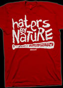 Image of Haters by Nature