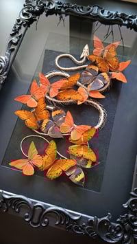 Image 2 of Amber Serpent