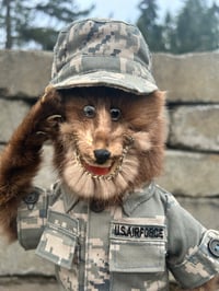 Image 1 of Rhett