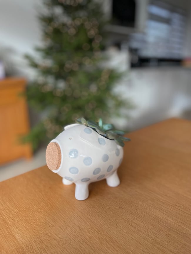 Silver Plant Pot Pig