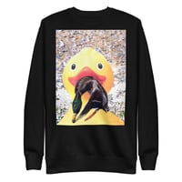 Image 3 of Ducking around