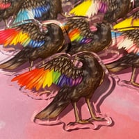Image 2 of Pride Crows Acrylic Pins • 2.5”/6cm
