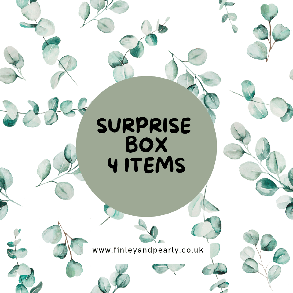 SURPRISE BOX: 4 Items