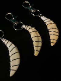 Image 3 of Wire Wrapped Coyote Tooth Keychain