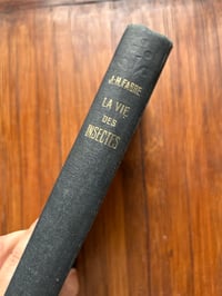 Image 2 of La vie des insectes de J-H. Fabre, 1935!