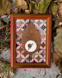 Image 2 of "Portrait of a Snail" original