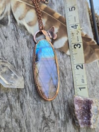 Image 3 of Electroformed extra large labradorite butterfly necklace