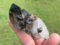 Image 2 of Smoky Quartz Points #1383