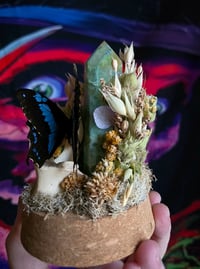 Image 1 of Swallowtail & Flourite Crystal Tower Clochè