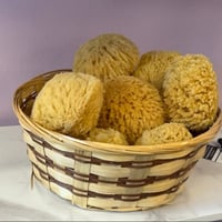 Image 4 of Royal Glow Dead Sea Sponge™Luxury Natural Exfoliating Bath Sponge (3–5 inches)