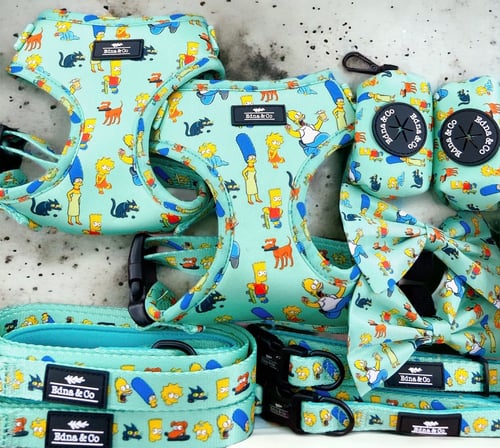 Image of The Simpsons Collection - Adjustable Harness