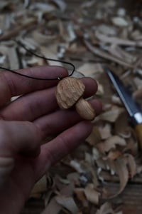 Image 2 of Cherry Wood Cep Mushroom 