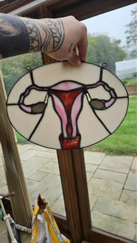 Image 1 of Anatomical uterus 