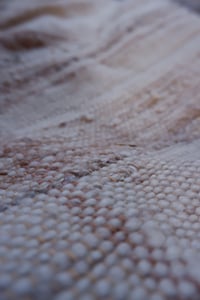 Image 2 of Desert Rose 