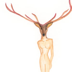 Image of Deer Head