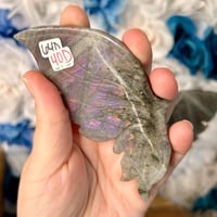 Image 2 of Labradorite Butterfly Wings (64D)