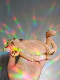 Image 5 of Posavasos gato efecto crochet 