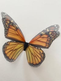 Image 1 of Monarch (Larger single butterfly) 