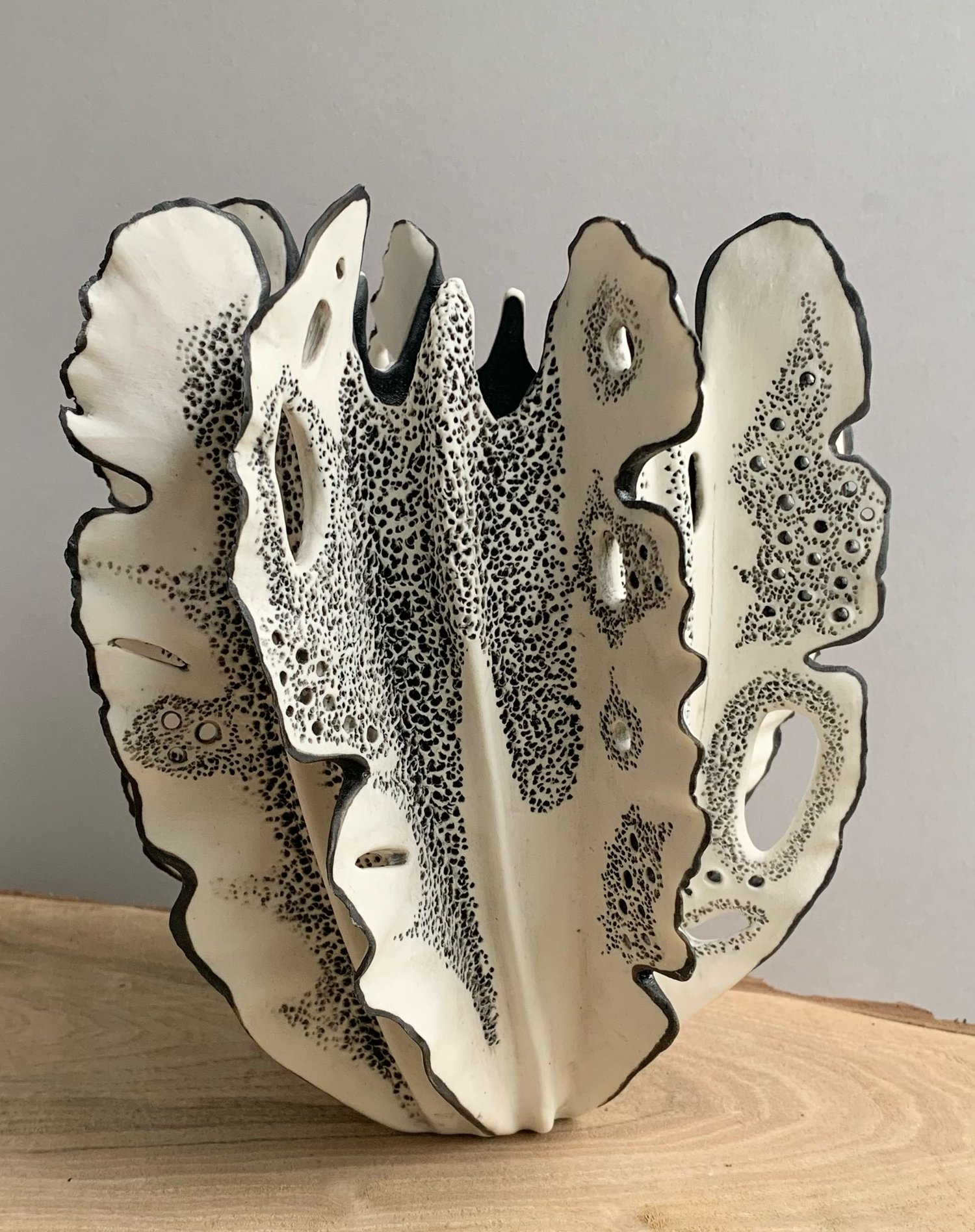 Image of Black and White Coral 