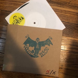 The Ergs - Renovations EP Test Press