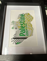 Limited Edition PalDrinks Éire Map Can Art