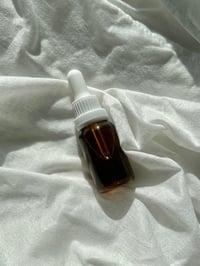 Image 4 of GARDEN OF WASILAAH | Anti-Inflammatory Clarifying Concentrate