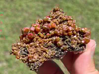 Image 9 of Vanadinite On Black Barite Specimen #2548