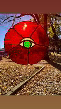 Image 2 of Eye Catcher Poppy 👁️