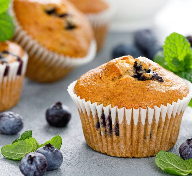 Blueberry Muffin 