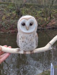 Image 4 of Needle Felted Barn Owl 