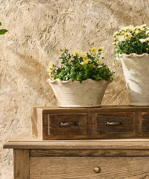 Image of Wavy Low Pot