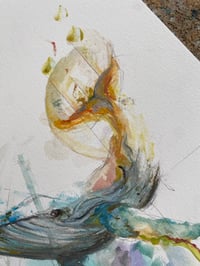 Image 5 of Baleine Brume 