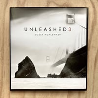 Image 1 of josef Hoflehner - Unleashed 3 (Signed)