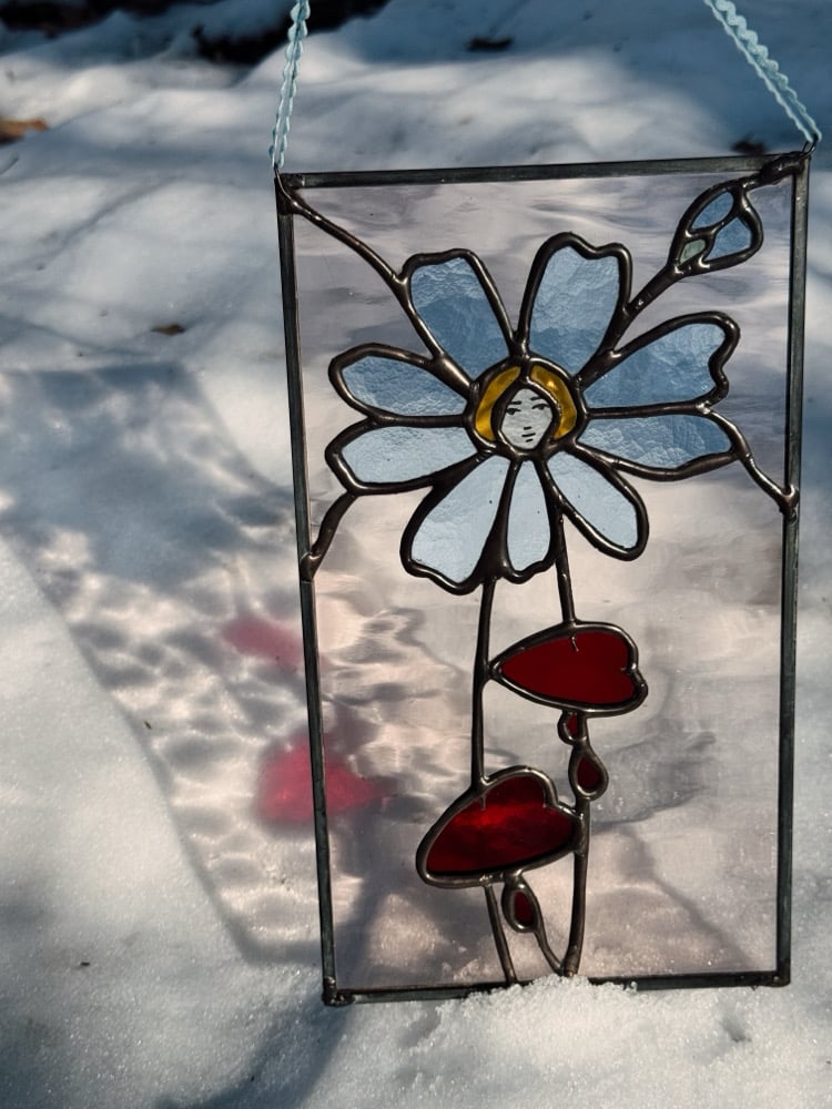 soft pink bleeding heart blooms