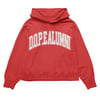 Red alumni curve font hoodie 
