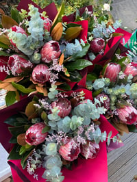 Image 4 of Protea Pink Ice - back in stock
