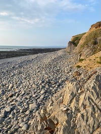 Image 4 of Pebble Dangles
