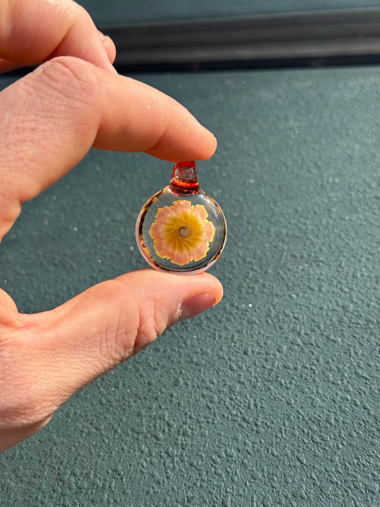 Image of  Pink and yellow opal flower