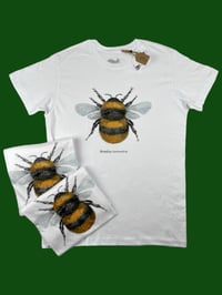 Image 3 of T-shirt BOMBO