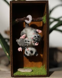 Image 1 of Pipe cleaner possum family with wooden modular display