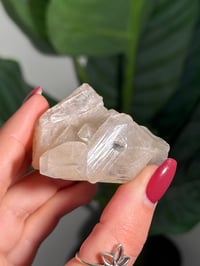 Image 4 of BOWTIE STILBITE X DIAMOND APOPHYLITE -INDIA- L