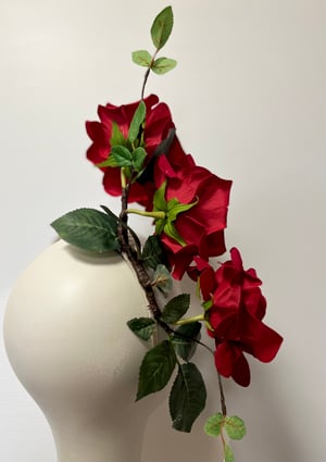 Image of Red, red roses