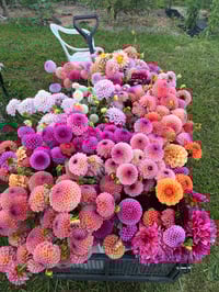 Image 8 of Summer Flower Bouquet - Finished for the season 