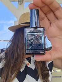 Image 8 of Revolution (Thawra/Anqalab)