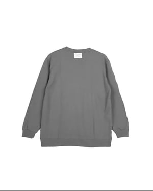 Image of ÒLĮNE - Vagus Longsleeve (Grey)