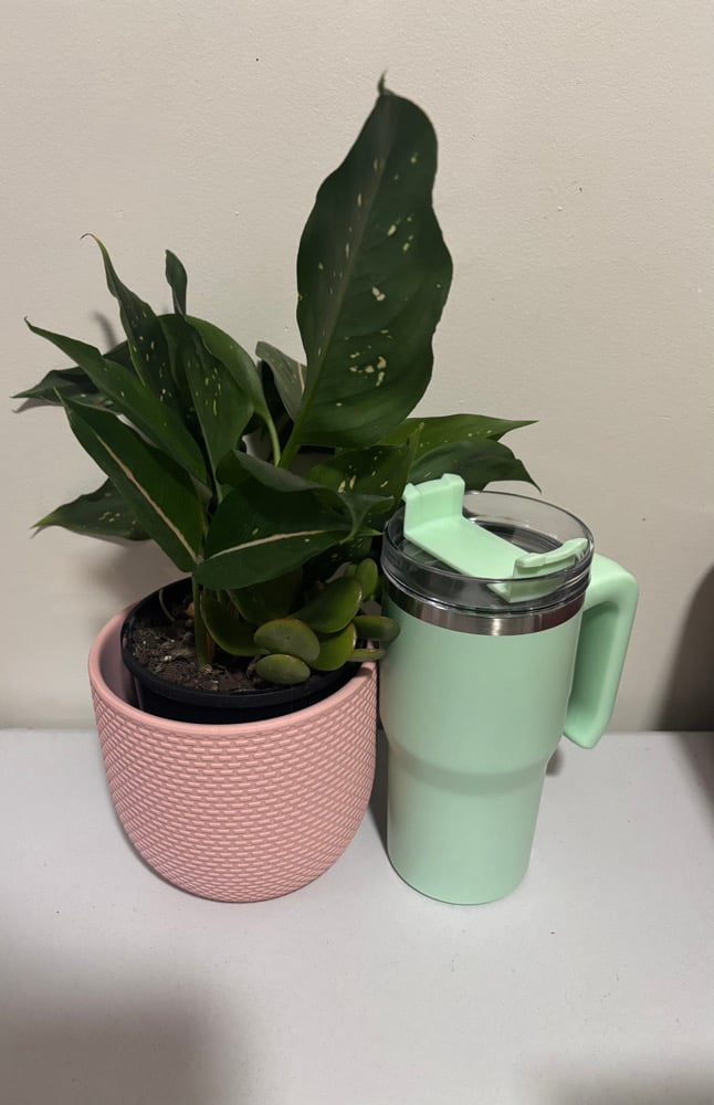 Candy Tumbler