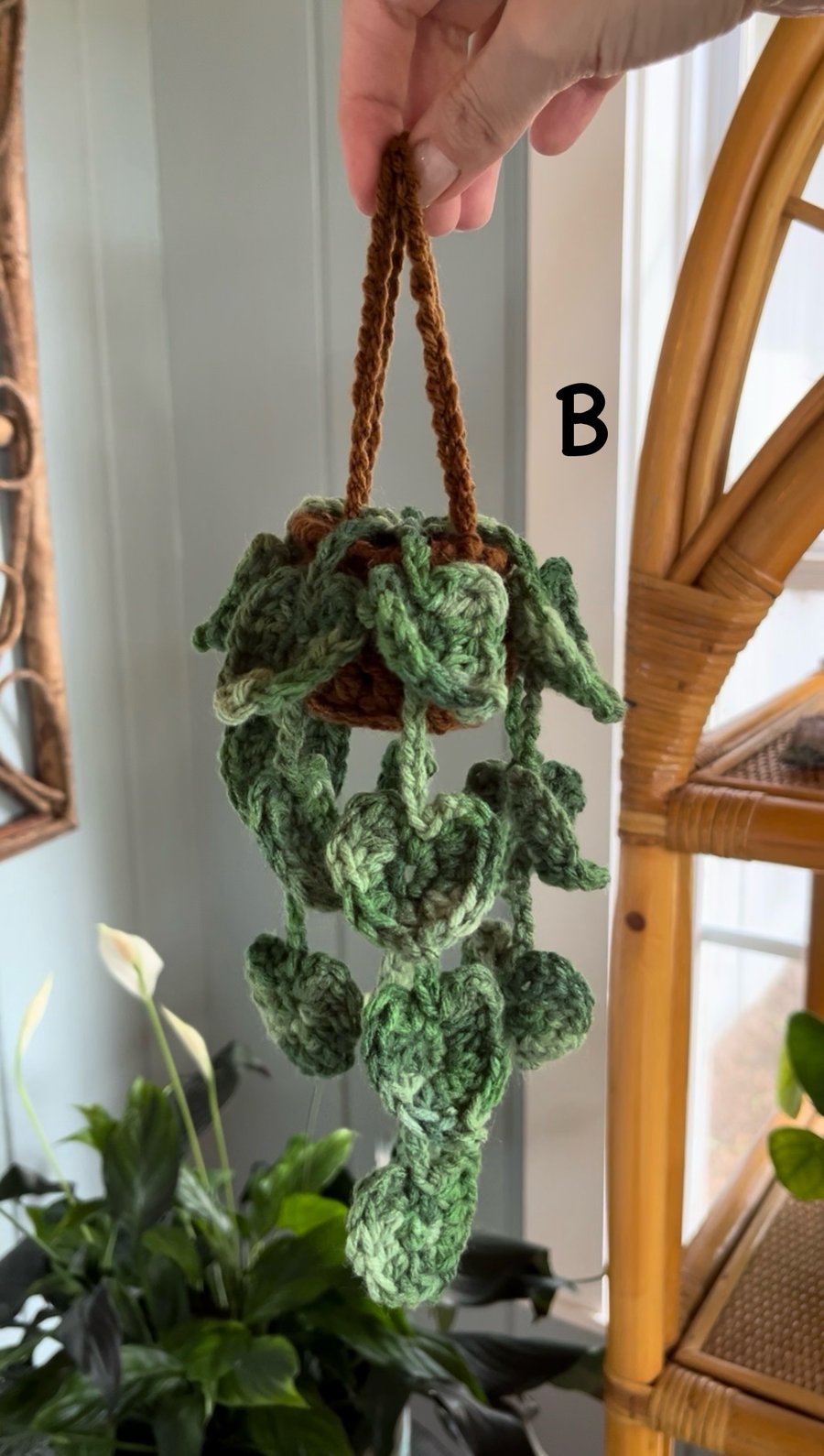 Image of Crochet Plant Buddy 