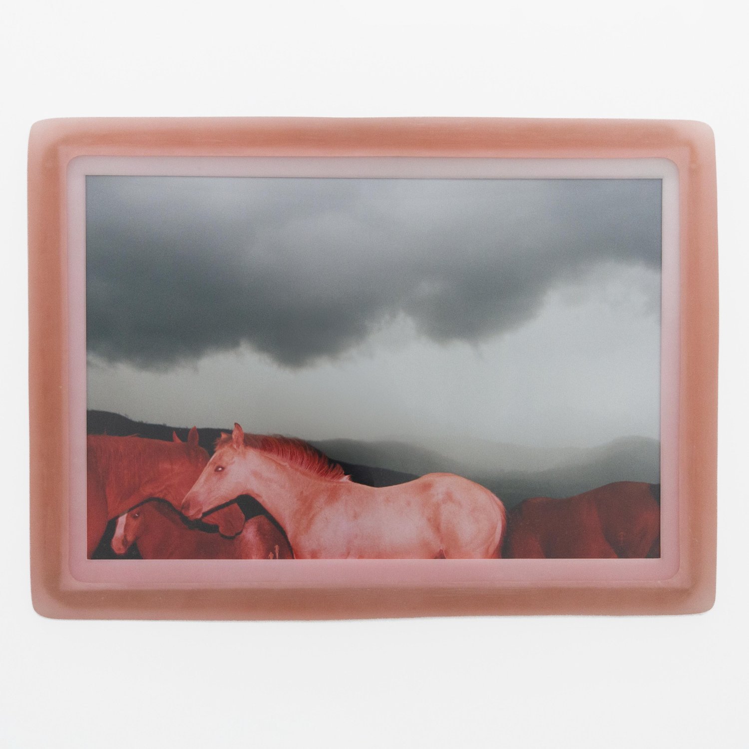 Image of GRACE BURNS EXIT ISSUE 49 AUTUMN WINTER 2024 (SHIPPING NOVEMBER)