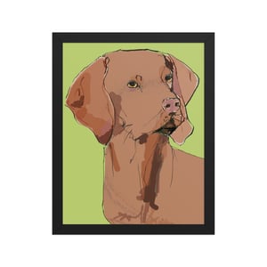 Image of VIZSLA FRAMED ART