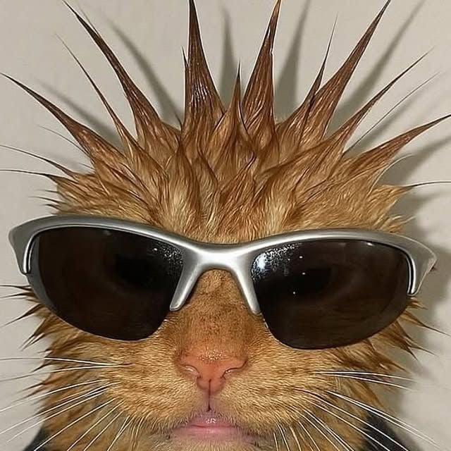 Image of Order for Anita 